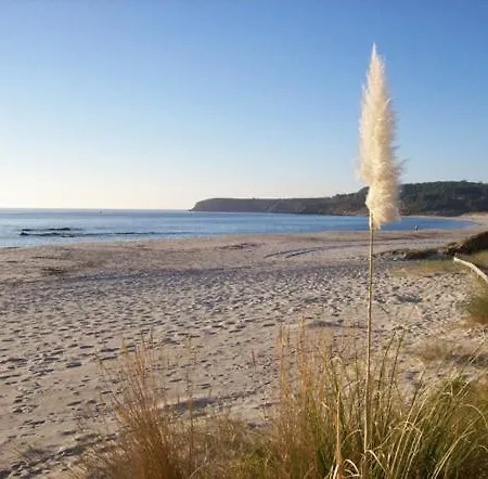 Duerming La Rana Sanxenxo Apartman